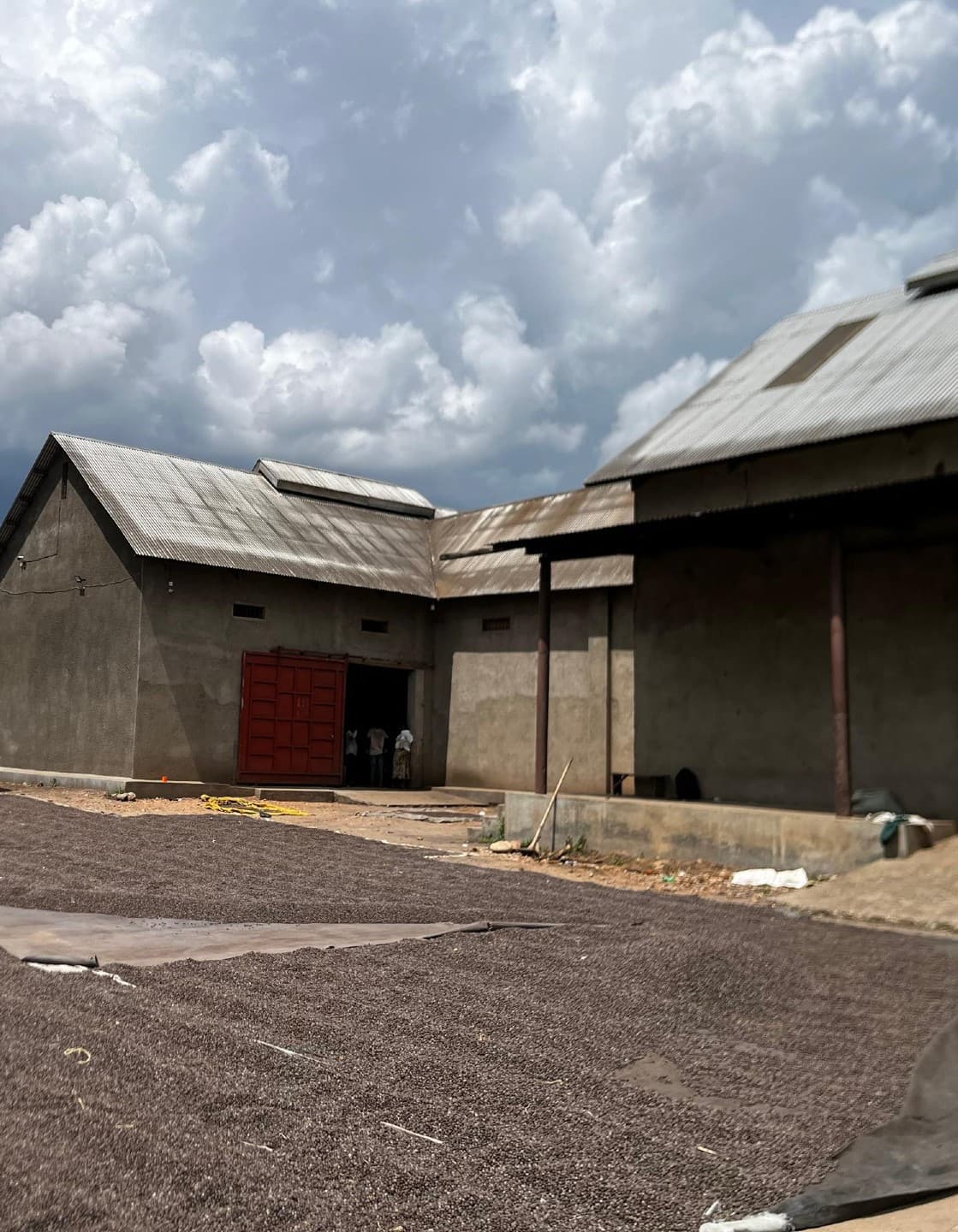 Coffee processing Facility